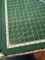 IMG_4802.jpg IMG_4802.jpg