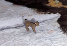 sbs wiv kayak 26mar25  (3).jpg