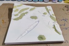 sbs wiv kayak 24mar25 (1).jpg