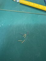 IMG_4806.jpg IMG_4806.jpg