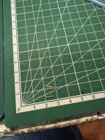 IMG_4802.jpg IMG_4802.jpg