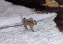 sbs wiv kayak 26mar25  (3).jpg