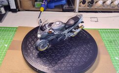 hinda blakbird 31dec24 (1).jpg