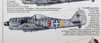 StevenFw190_002.jpg