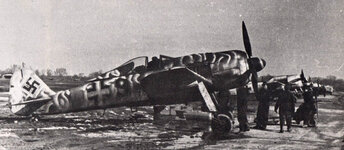 StevenFw190_003.jpg