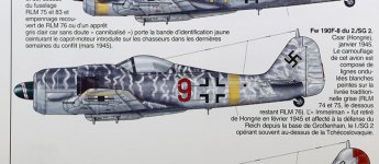 StevenFw190_002.jpg