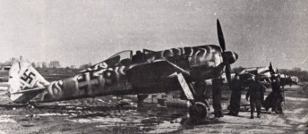StevenFw190_003.jpg
