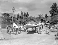 IMG_2812.webp IMG_2812.webp