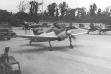 IMG_2813.webp IMG_2813.webp