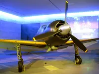 IMG_2498.webp IMG_2498.webp