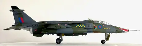 IMG_1244.webp IMG_1244.webp