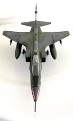 IMG_1245.webp IMG_1245.webp