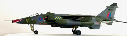 IMG_1247.webp IMG_1247.webp