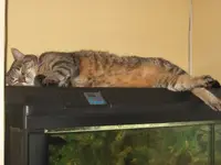 IMG_0153.webp IMG_0153.webp