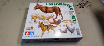 Misc kits and dio gear july25  (2).webp