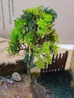 10aug25 PBI GB  (5).webp