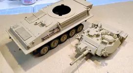 Scorpion pics5  (3).webp