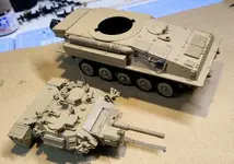 Scorpion pics5  (4).webp