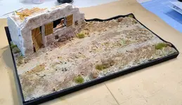 Desert dio pics9 (1).webp Desert dio pics9 (1).webp