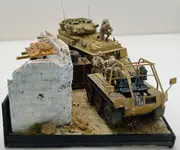 Desert Dio feb26 final pics  (10).webp