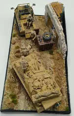 Desert Dio feb26 final pics  (11).webp