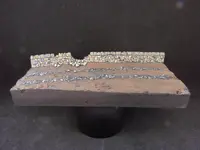 P1080152.webp P1080152.webp