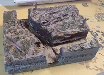 Tank mk1 dio pics7 mud (2).webp