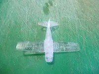 IMG_1509 - Copy.webp