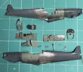 IMG_5565.webp IMG_5565.webp