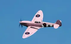 Pink Spitfire.webp