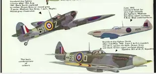 spit later schemes.webp