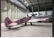 spitfire pink.webp