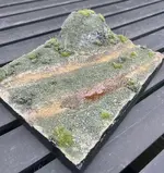 IMG_0812.webp IMG_0812.webp