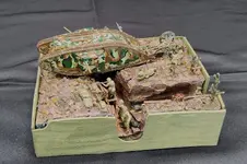 Mk1 Tank final pics1 7apr26  (1).webp