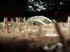 WW1 TANK 019.jpg