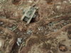 WW1 TANK 032.jpg