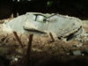 WW1 TANK 017.jpg