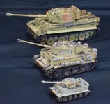 Tigers x3 cam (10).webp