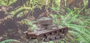 T26 forest pics final pics (1).webp