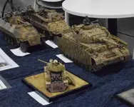 Gravesham model show may26  (12) (Medium).webp
