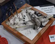 Gravesham model show may26  (43) (Medium).webp