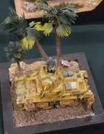 Gravesham model show may26  (46) (Medium).webp