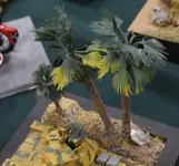 Gravesham model show may26  (58) (Medium).webp