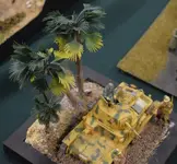 Gravesham model show may26  (59) (Medium).webp