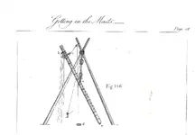 stepping.webp