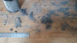 Carpet monster (2).webp Carpet monster (2).webp