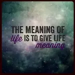 1292284990-Quote-of-the-Day-Meaningful-Life.webp