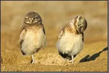 C-QrZSmWAAESqG6.webp