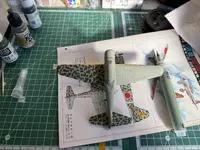 IMG_7848.webp IMG_7848.webp