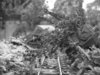 Partisan attack 039.jpg